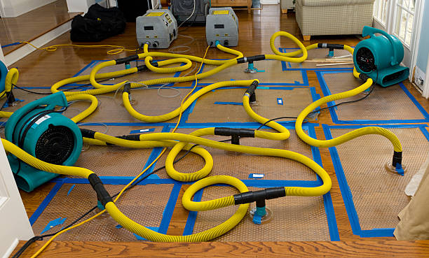 Professional Structural Drying And Dehumidification technician working in Clintonville, WI